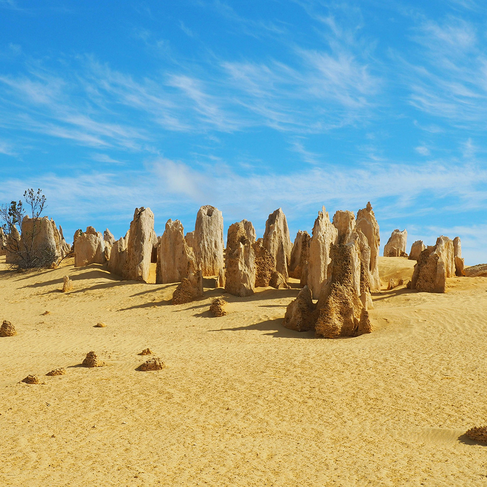 The Ultimate Guide to Entertainment Nearby